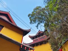 -云碧峰国家森林公园