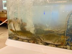 -步步高福朋喜来登·宜客乐西餐厅
