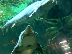 -华夏文旅海洋公园