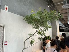 -喜茶(珠海华发商都店)