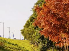 -湘语·湖南家常菜(新洲店)