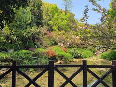 -杭州半山国家森林公园