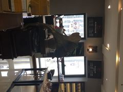 -肆兮眼镜·蔡司·徕卡战略合作店(大坪店)