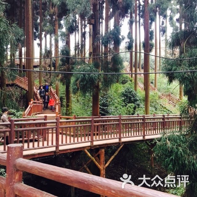 峨眉山七里坪森林栈道景区