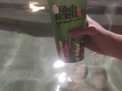 -咸宁万豪温泉谷度假区