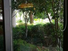 -圣雷克大酒店