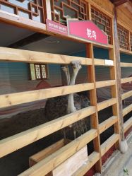 -塔元庄景区
