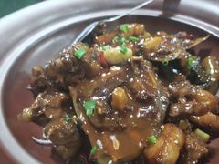 红烧野山生甲鱼-老鳖私房菜(常青花园店)