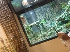 -呀路古热带植物园