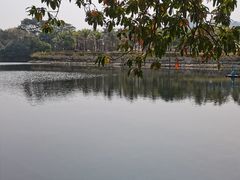 -深圳龙潭公园