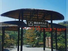 -海南槟榔谷黎苗文化旅游区