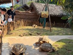 -福州罗源湾海洋世界旅游区