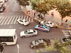 -新镇江酒家(南京西路店)