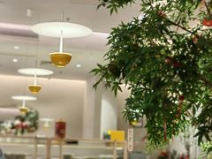 -Aqua Oasis 水天堂(太湖中心mall店)
