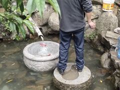 -ALDI奥乐齐超市(浦东大华锦绣优嘉店)