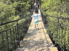 -秦岭终南山世界地质公园翠华山景区