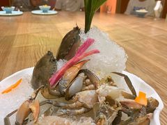 -尚海豆捞(乐虹坊店)