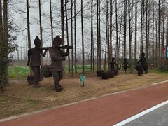 -上海长兴岛郊野公园