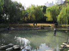 -苏州河梦清园环保主题公园