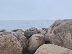-苏州东太湖生态园