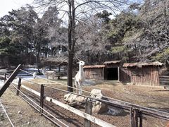 -沈阳森林动物园