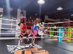-TFC 纯泰拳馆MuayThai
