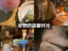 -咖法森林·咖啡  酒吧(天河店)
