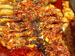 油泼香辣-鱼酷活鱼烤鱼(张江长泰店)