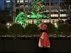 -上海苏宁宝丽嘉酒店·嘉府壹号中餐厅