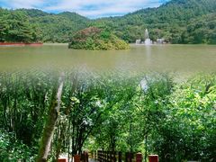 -广州白江湖森林公园