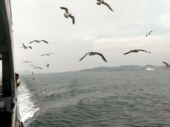 -长岛大黑山岛