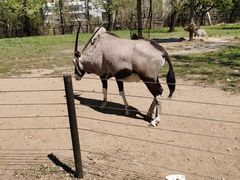 -大连森林动物园