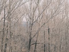-长春净月潭风景名胜区
