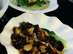 -云中小雅