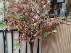 -谜遇探案馆