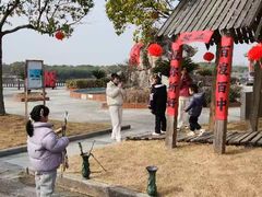 -上海都市菜园