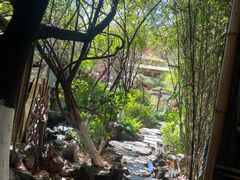 -翠湖宾馆·中餐厅