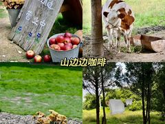 -老李家土菜馆·安吉地标美食