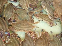 -东戴河风景区-止锚湾