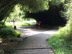 -广州市流溪河国家森林公园