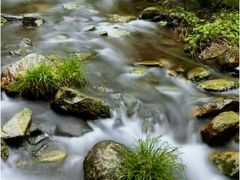 -永州阳明山国家森林公园