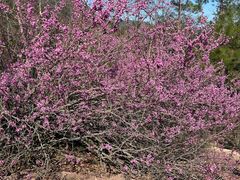 -天台山赤城山景区