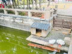-苏州文庙(姑苏区)