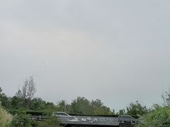 -白鹭湾湿地公园