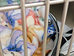 -美联众合动物医院·24h京西诊疗中心