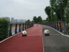 -府河摄影公园