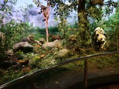 -陕西自然博物馆