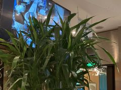 -大鸭梨烤鸭(顺义石园店)