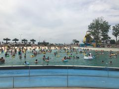 -秦皇岛乐岛海洋王国