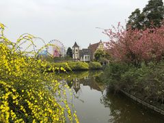 -南湖梦幻岛